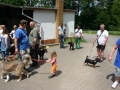 wuw-2014-0439
