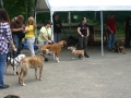 wuw-2014-0464