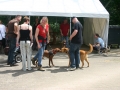 wuw-2014-0469