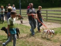 2015-wuw-weber-0035