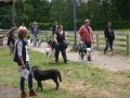2015-wuw-weber-0038