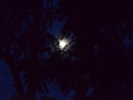 stammtisch-2014-08-006