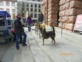 034_soka_mainz_2012