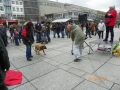 041_soka_mainz_2012