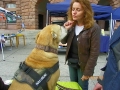061_soka_mainz_2012