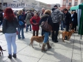 076_soka_mainz_2012