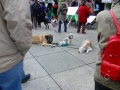 077_soka_mainz_2012