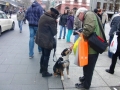 078_soka_mainz_2012