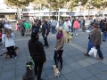 soka-run-mainz-2014-011