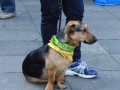 soka-run-mainz-2014-015