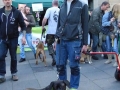 soka-run-mainz-2014-020