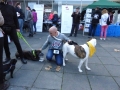 soka-run-mainz-2014-022