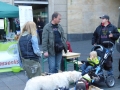soka-run-mainz-2014-028