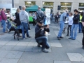 soka-run-mainz-2014-034