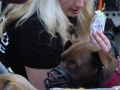 soka-run-mainz-2014-043