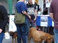 soka-run-mainz-2014-047