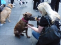 soka-run-mainz-2014-055