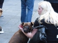soka-run-mainz-2014-063