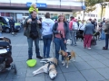 soka-run-mainz-2014-076