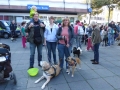 soka-run-mainz-2014-078