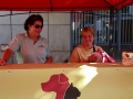 stadtfest-dreieich-2014001