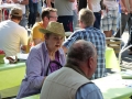 stadtfest-dreieich-2014013