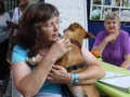 stadtfest-dreieich-2014056