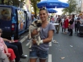 stadtfest-dreieich-2014071