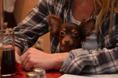ARTGERECHT Tierfreunde-Stammtisch Dezember 2015
